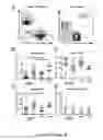 Fig. 03 - Human SIRPα transgenic mice and their methods of use