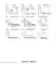 Fig. 07 - Human SIRPα transgenic mice and their methods of use