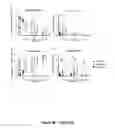 Fig. 13 - Human SIRPα transgenic mice and their methods of use