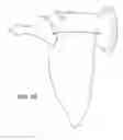 Fig. 09 - Waterfowl decoy having oscillating wings