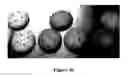 Fig. 07 - FAT REPLACERS AND FILLING MATERIALS