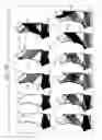 Fig. 20 - Shapewear garments