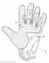 Fig. 01 - Utility glove