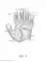 Fig. 08 - Utility glove