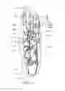 Fig. 09 - Customizable Component Insole System
