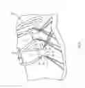 Fig. 03 - ARTICLE OF FOOTWEAR WITH DYNAMIC TENSIONING SYSTEM