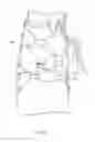 Fig. 13 - ARTICLE OF FOOTWEAR WITH DYNAMIC TENSIONING SYSTEM