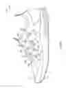 Fig. 18 - ARTICLE OF FOOTWEAR WITH DYNAMIC TENSIONING SYSTEM