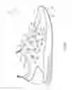 Fig. 19 - ARTICLE OF FOOTWEAR WITH DYNAMIC TENSIONING SYSTEM