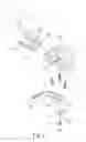 Fig. 05 - Armrest interval adjustment structure for a chair