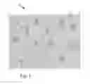 Fig. 02 - FLUSHABLE HYDROENTANGLED MOIST WIPE OR HYGIENE TISSUE
