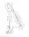 Fig. 09 - ASSEMBLIES FOR USE WITH ENDOSCOPES AND APPLICATIONS THERFOR