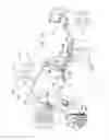 Fig. 20 - BALLOON GUIDED ENDOSCOPY