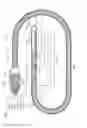 Fig. 07 - SYSTEM AND APPARATUS COMPRISING A MULTI-SENSOR CATHETER FOR RIGHT HEART AND PULMONARY ARTERY CATHETERIZATION