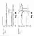 Fig. 10 - Absolute intrathoracic impedance based scheme to stratify patients for risk of a heart failure event