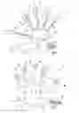 Fig. 02 - Systems and Methods for Rehabilitating the Hand