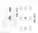 Fig. 35 - Devices for detecting or filtering tumor cells