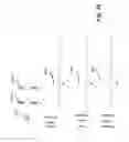 Fig. 69 - Devices for detecting or filtering tumor cells