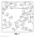 Fig. 02 - Biosensor membranes