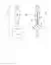 Fig. 03 - LANCET