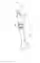 Fig. 15 - LANCET
