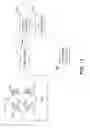 Fig. 13 - Gastrointestinal sensor implantation system
