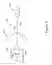 Fig. 09 - Left atrial appendage implant