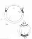 Fig. 03 - Wound protector