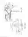 Fig. 33 - Surgical instrument comprising a system for bypassing an operational step of the surgical instrument