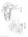 Fig. 34 - Surgical instrument comprising a system for bypassing an operational step of the surgical instrument