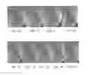 Fig. 03 - METHODS OF TREATING DEGENERATIVE BONE CONDITIONS