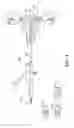 Fig. 07 - Polypectomy systems, devices, and methods