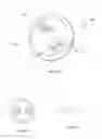 Fig. 09 - ODONTOID BULLET