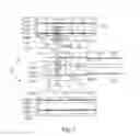 Fig. 13 - Methods and systems for blocking neural activity in an organ of a subject, preferably in the small intestine or the duodenum