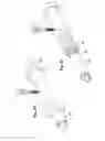 Fig. 19 - Methods of making a prosthesis with a smooth covering
