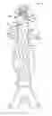 Fig. 01 - Devices and methods for anatomic mapping for prosthetic implants