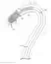 Fig. 01 - Transcatheter prosthetic heart valve delivery system and method with expandable stability tube