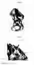 Fig. 04 - Customized surgical guides, methods for manufacturing and uses thereof