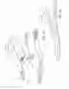 Fig. 07 - Prosthetic foot