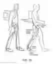 Fig. 32 - Orthopedic device including protruding members
