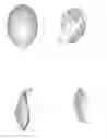 Fig. 06 - Nasal dilator