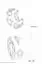 Fig. 08 - Methods and devices for non-invasive cerebral and systemic cooling alternating liquid mist/gas for induction and gas for maintenance
