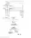Fig. 07 - Apparatus for patterned plasma-mediated laser ophthalmic surgery