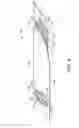 Fig. 06 - Absorbent article having a protected fastening system