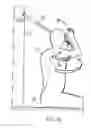 Fig. 22 - Spinal Therapy Apparatus