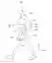 Fig. 01 - Walking assistance method and apparatuses performing the same
