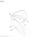 Fig. 03 - Stimulation device having an appendage