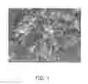 Fig. 02 - SUN PROTECTION COMPOSITION AND APPLICATION THE SAME