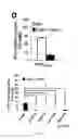 Fig. 09 - METHOD OF TREATING T CELL MEDIATED DISORDERS