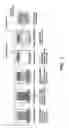 Fig. 02 - Silk-based scaffold platform for engineering tissue constructs
